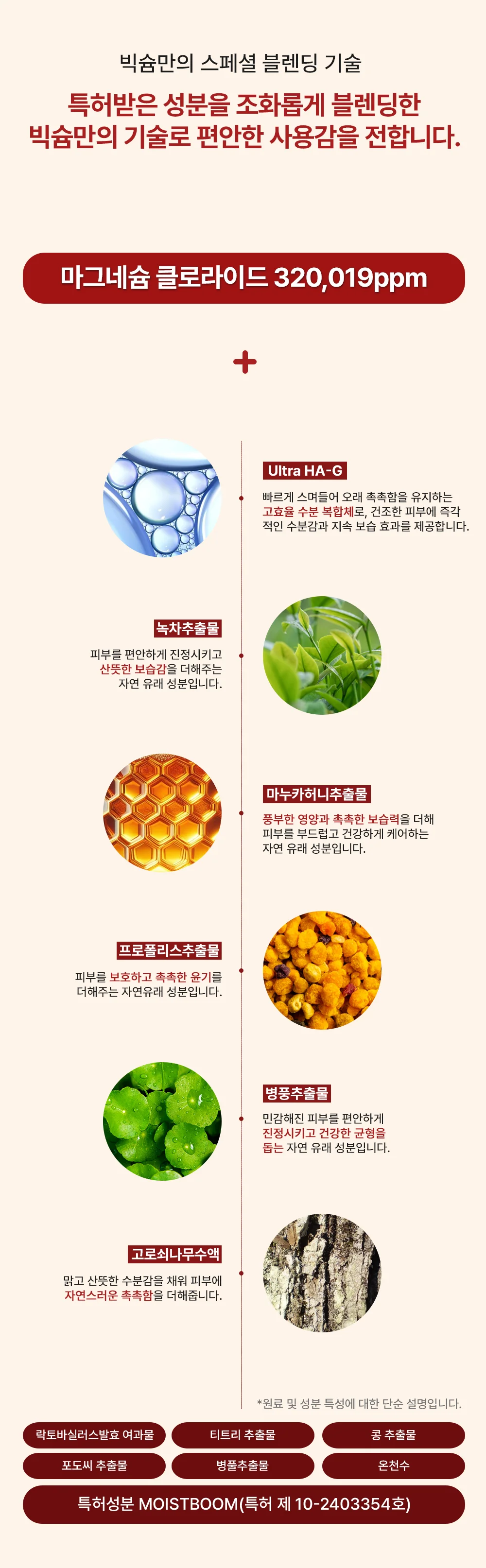 빅슘만의 스페셜 블렌딩 기술과 녹차 병풀 프로폴리스 성분 안내