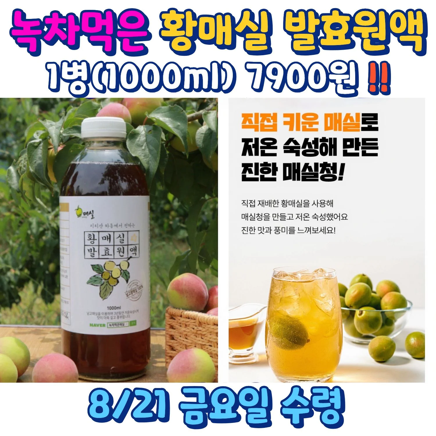 녹차먹은 황매실 발효원액 1000ml 7900원 상품 이미지